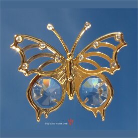Schmetterling klein 60mm